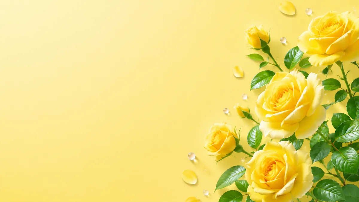 yellow banner