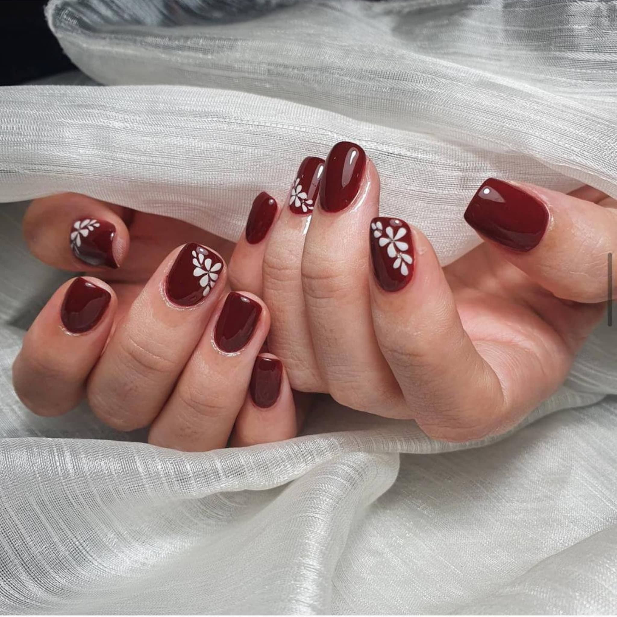 Burgundy Petals [placeholder]